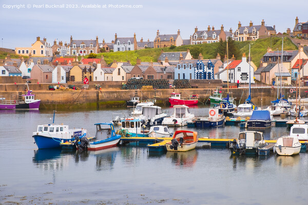 Findochty Harbour Morayshire Scotland Picture Board by Pearl Bucknall