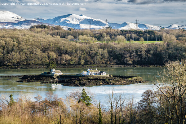 Ynys Gored Goch in Menai Strait Anglesey Winter Sn Picture Board by Pearl Bucknall