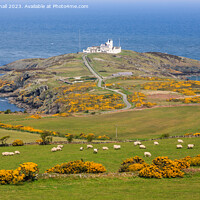 Buy canvas prints of View to Point Lynas Anglesey Coast by Pearl Bucknall