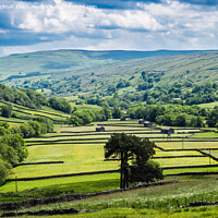 Buy canvas prints of Barns and Walls in Upper Swaledale Yorkshire Dales by Pearl Bucknall