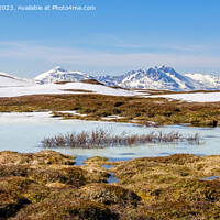 Buy canvas prints of Outdoor Arctic Tundra Landscape in Norway Pano by Pearl Bucknall
