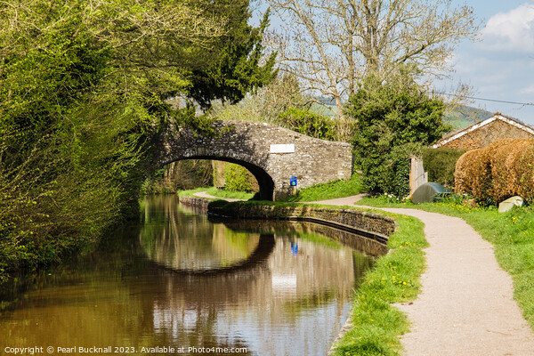 Serene Scene on Monmouthshire and Brecon Canal Picture Board by Pearl Bucknall