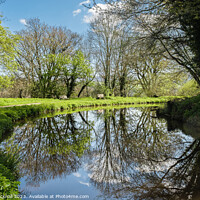 Buy canvas prints of Serene Scene on Monmouthshire and Brecon Canal by Pearl Bucknall