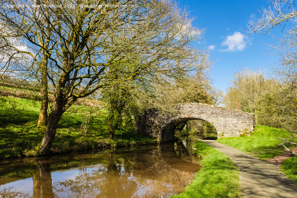 Monmouthshire and Brecon Canal Picture Board by Pearl Bucknall