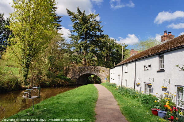 Monmouthshire and Brecon Canal Cottages Picture Board by Pearl Bucknall