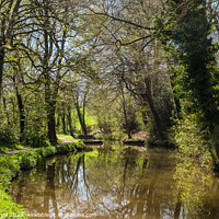 Buy canvas prints of Serenity on Monmouthshire and Brecon Canal by Pearl Bucknall