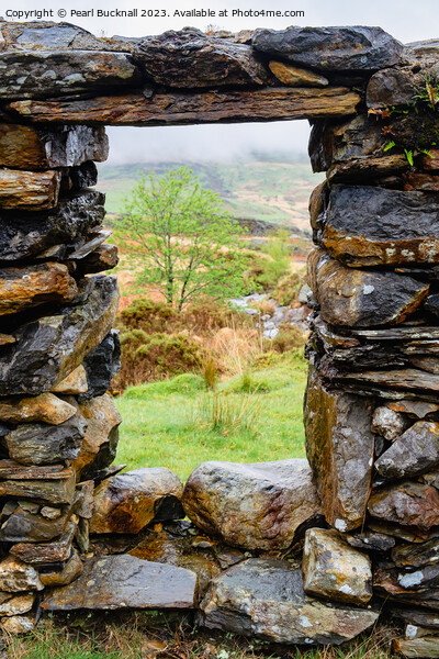 View Through a Window Picture Board by Pearl Bucknall