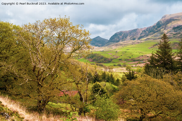 Cwm Pennant Valley Snowdonia Landscape Picture Board by Pearl Bucknall
