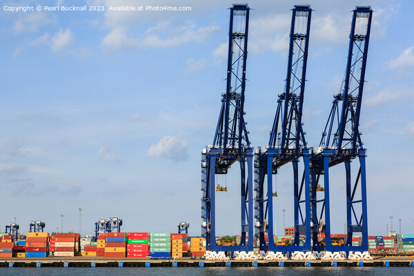 Port of Felixstowe Cranes and Containers Picture Board by Pearl Bucknall