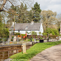 Buy canvas prints of Monmouthshire and Brecon Canal by Pearl Bucknall