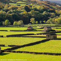 Buy canvas prints of Swaledale Barns Yorkshire Dales English Countrysid by Pearl Bucknall