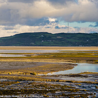 Buy canvas prints of Tidal Mudflats Red Wharf Bay Anglesey by Pearl Bucknall