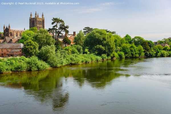 Hereford Cathedral Across River Wye Herefordshire Picture Board by Pearl Bucknall