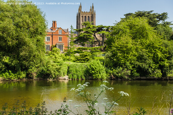 Hereford Cathedral across River Wye Herefordshire Picture Board by Pearl Bucknall