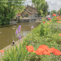 Buy canvas prints of Colourful Boulters Lock on River Thames Berkshire by Pearl Bucknall