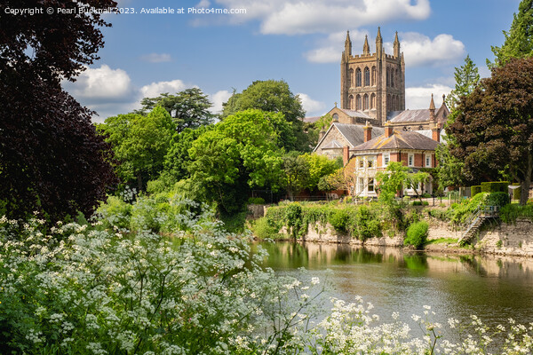 The River Wye at Hereford in Herefordshire Picture Board by Pearl Bucknall
