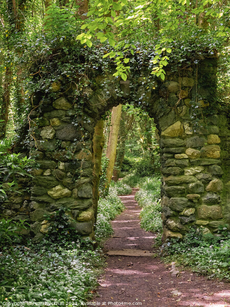 Woodland Path Through a Stone Arch Picture Board by Pearl Bucknall