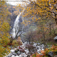 Buy canvas prints of Aber Falls or Rhaeadr Fawr Waterfall in Autumn by Pearl Bucknall