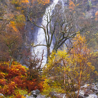 Buy canvas prints of Aber Falls or Rhaeadr Fawr Waterfall in Autumn by Pearl Bucknall