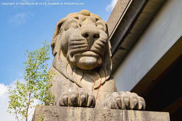 Britannia Bridge Lion Picture Board by Pearl Bucknall