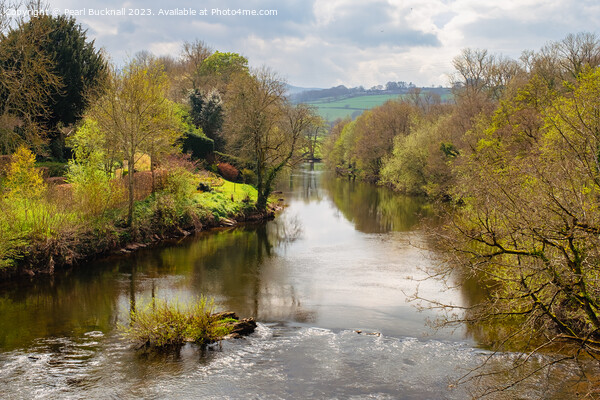 Tranquil River Usk Brecon Beacons National Park Picture Board by Pearl Bucknall