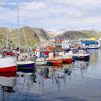 Buy canvas prints of Fishing Boats in Honningsvar Harbour Norway pano by Pearl Bucknall
