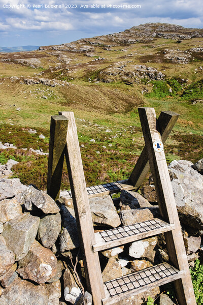 Walk This Way in Snowdonia Hills Picture Board by Pearl Bucknall