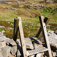 Buy canvas prints of Walk This Way in Snowdonia Hills by Pearl Bucknall