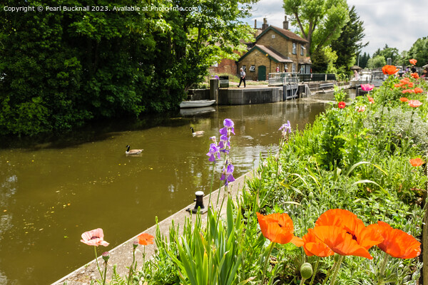 Colourful Boulters Lock on River Thames Berkshire Picture Board by Pearl Bucknall