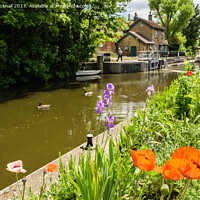 Buy canvas prints of Colourful Boulters Lock on River Thames Berkshire by Pearl Bucknall