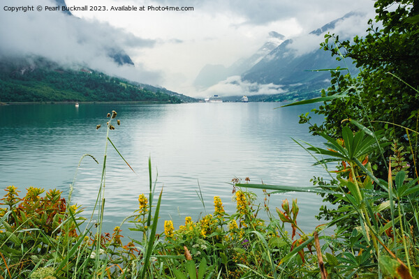 Norwegian Fjord Norway Picture Board by Pearl Bucknall