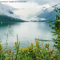 Buy canvas prints of Norwegian Fjord Norway by Pearl Bucknall