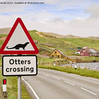 Buy canvas prints of Otters Crossing Sign on Shetland Islands by Pearl Bucknall