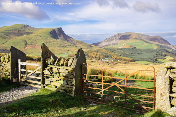 Gates on Mountain Path Picture Board by Pearl Bucknall
