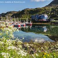 Buy canvas prints of Fishing Boats in Harbour Norway panorama by Pearl Bucknall