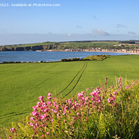 Buy canvas prints of Across the Fields to Stonehaven Aberdeenshire pano by Pearl Bucknall