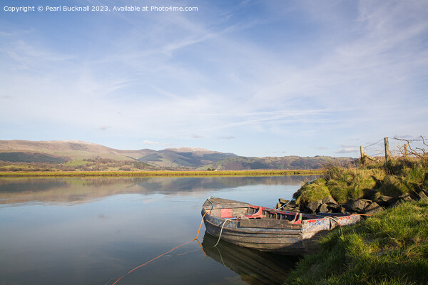 Tranquil Dovey River Scene on Afon Dyfi Picture Board by Pearl Bucknall