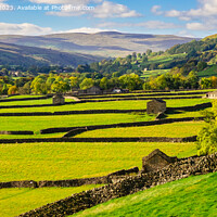 Buy canvas prints of Swaledale Yorkshire Dales English Countryside pano by Pearl Bucknall
