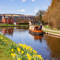 Buy canvas prints of Llangollen Canal Boat in Spring by Pearl Bucknall