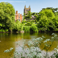 Buy canvas prints of The River Wye at Hereford in Herefordshire by Pearl Bucknall