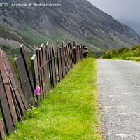 Buy canvas prints of Fence Leading up the Valley in Snowdonia pano by Pearl Bucknall