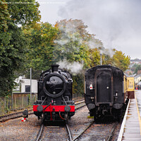 Buy canvas prints of Paignton and Dartmouth Steam Railway Trains by Pearl Bucknall