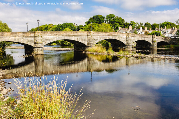 River Cree in Newton Stewart Dumfries and Galloway Picture Board by Pearl Bucknall