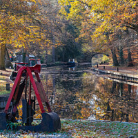 Buy canvas prints of Autumn Colours on the Basingstoke Canal by Pearl Bucknall