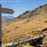 Buy canvas prints of The Way to Pen-y-Pass in Snowdonia by Pearl Bucknall