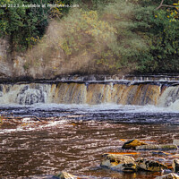Buy canvas prints of Richmond Falls on River Swale Swaledale Yorkshire by Pearl Bucknall