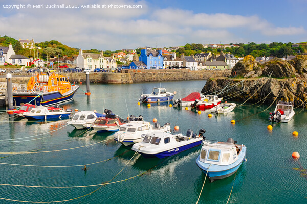 Portpatrick Harbour Dumfries and Galloway Picture Board by Pearl Bucknall