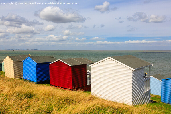 Whitstable Beach Huts in Kent Picture Board by Pearl Bucknall