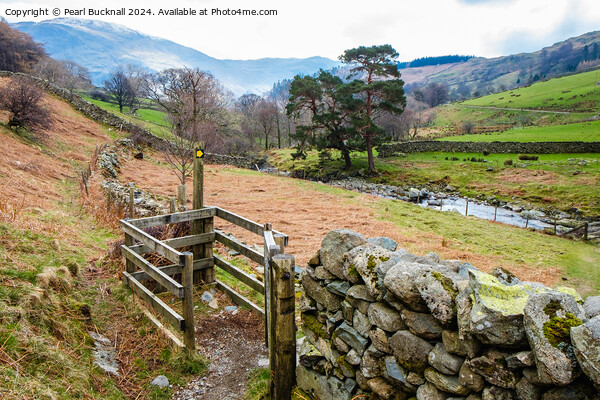A Country Walk, Glenridding Lake District Cumbria Picture Board by Pearl Bucknall