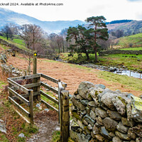 Buy canvas prints of A Country Walk, Glenridding Lake District Cumbria by Pearl Bucknall